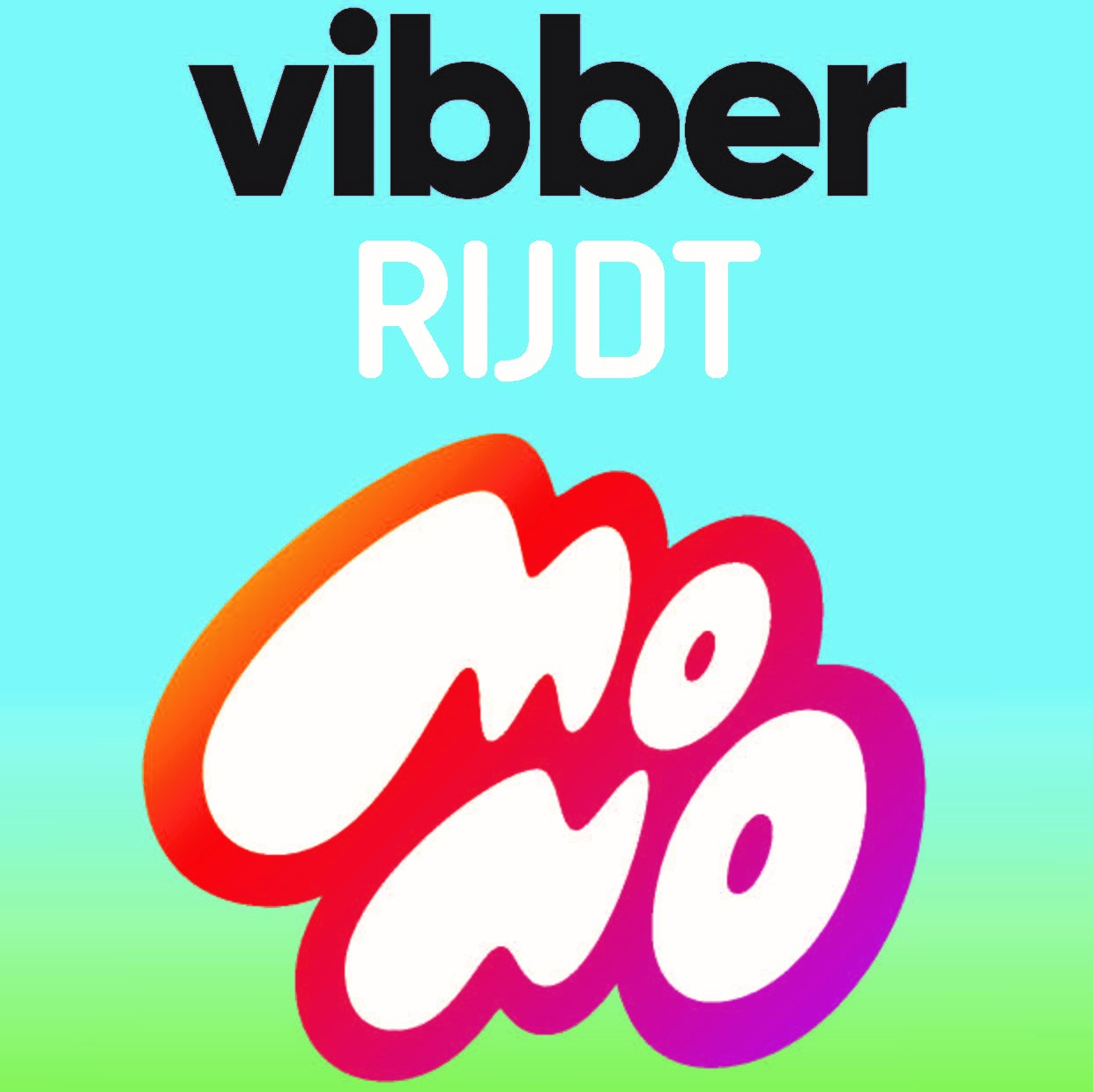 vibber_rijdt_Mono